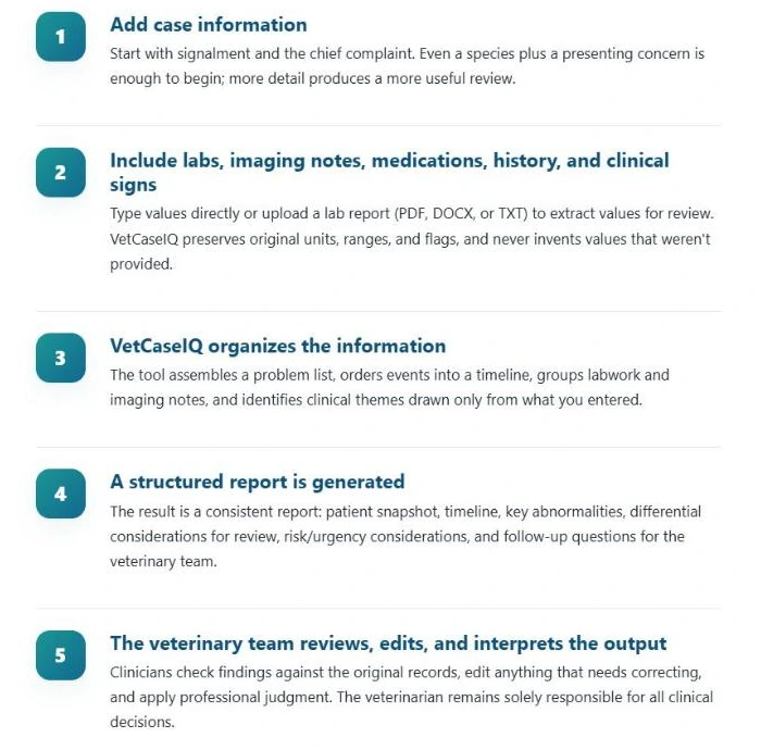 The How It Works page, listing five numbered steps: add case information; include labs, imaging notes, medications, history and clinical signs; VetCaseIQ organizes the information; a structured report is generated; the veterinary team reviews, edits and interprets the output.