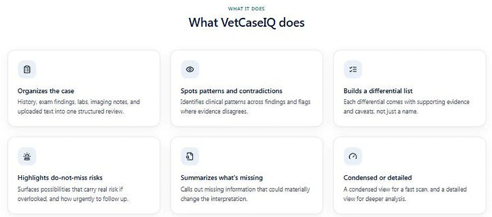 Six capability cards in the application: organizes the case, spots patterns and contradictions, builds a differential list, highlights do-not-miss risks, summarizes what is missing, and offers a condensed or detailed view.